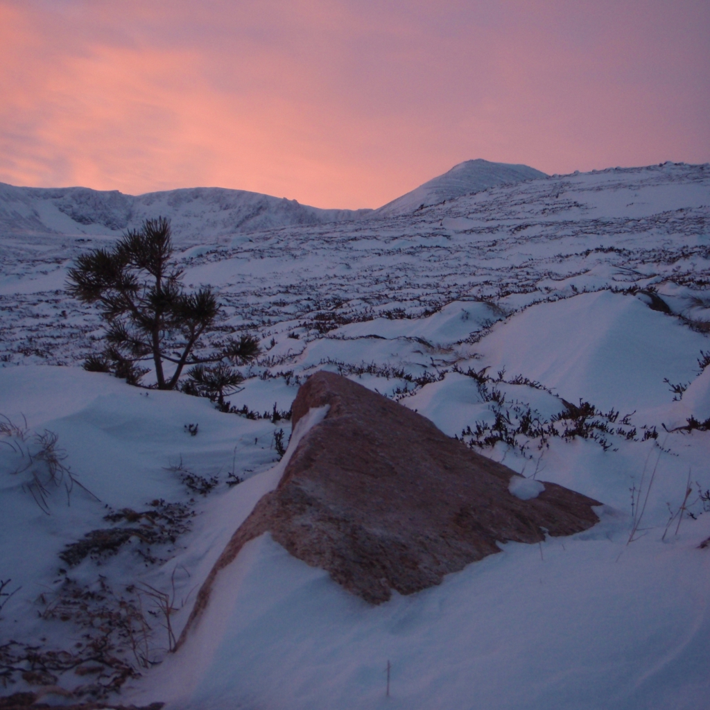 Advanced winter climbing course